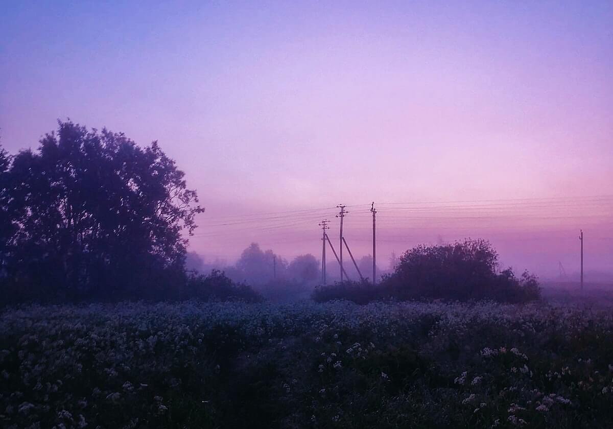 青奥会：青春的梦想与未来的力量